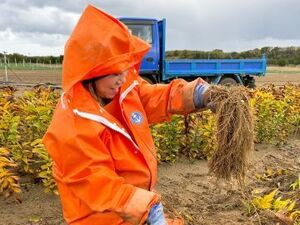 土橋農園(新潟)-top