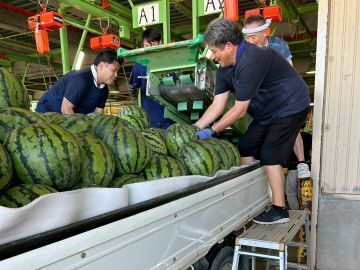 土橋農園(新潟)-3