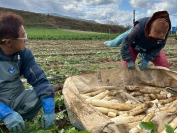 土橋農園(新潟)-4
