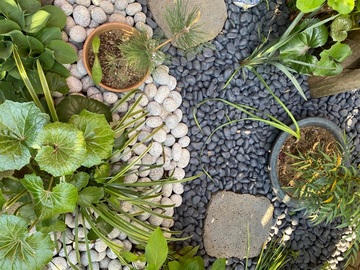 株式会社ぐりんぐりん-7