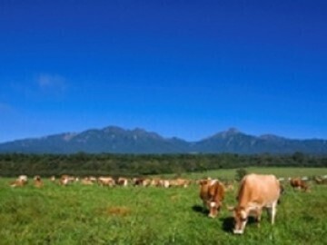 公益財団法人キープ協会-top