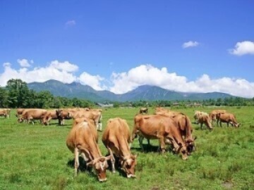 公益財団法人キープ協会-1