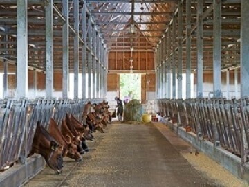 公益財団法人キープ協会-2