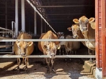 公益財団法人キープ協会-5