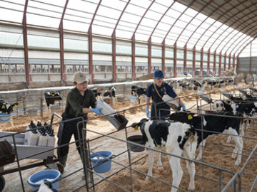 農事組合法人カーフゲート-1