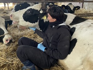 株式会社龍田牧場-top