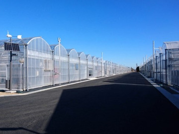 イオンアグリ創造株式会社-2