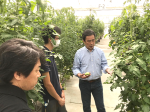 有限会社T&Tナーサリー-top