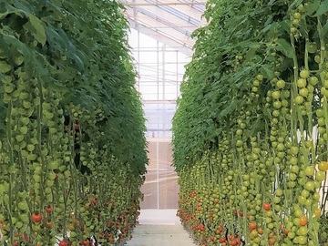 有限会社T&Tナーサリー-5