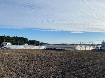 有限会社T&Tナーサリー-7