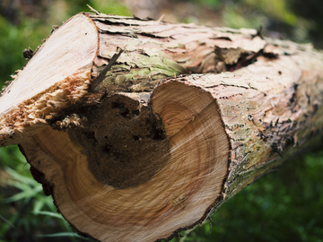 株式会社Ki-Liko-2