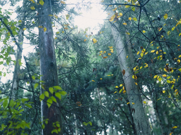 株式会社Ki-Liko-1