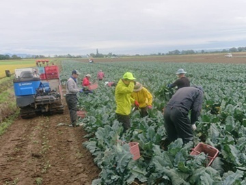 株式会社巴農場-top