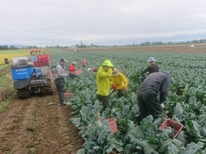 株式会社巴農場-top