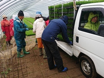 株式会社巴農場-5