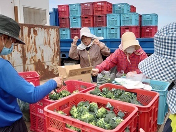 株式会社巴農場-2