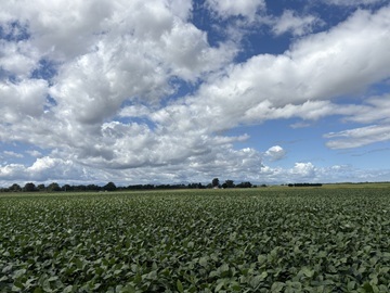 株式会社巴農場-7