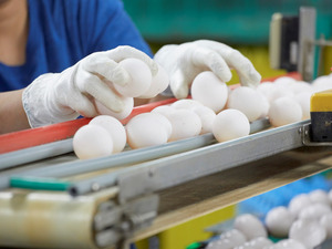 有限会社レイ-top