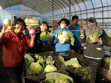 有限会社松村園芸-top