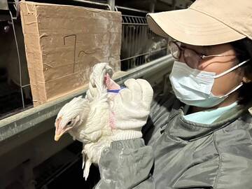 成田市×養鶏/法人【32208】-2