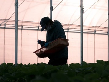 株式会社渋谷(しぶや)農園-8