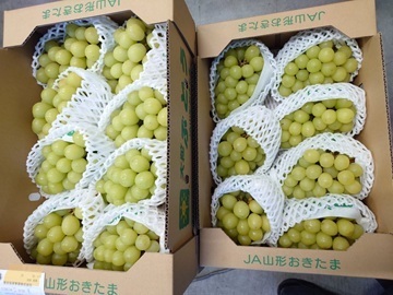 有限会社サンスイ-2