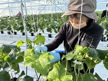 AGRIST株式会社-5