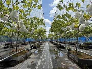 東邦ガス株式会社-6