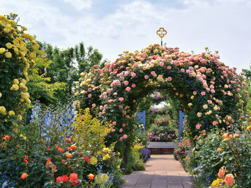 群馬県中之条町 地域おこし協力隊募集(花のまちづくり推進)-top