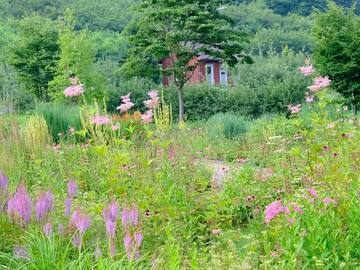 群馬県中之条町 地域おこし協力隊募集(花のまちづくり推進)-1