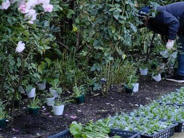 群馬県中之条町 地域おこし協力隊募集(花のまちづくり推進)-2