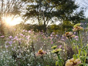 群馬県中之条町 地域おこし協力隊募集(花のまちづくり推進)-4