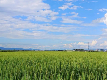 株式会社半澤鶏卵-3