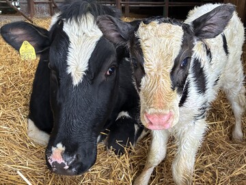 佐藤牧場(富良野)-7