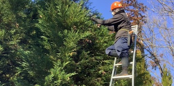 株式会社和泉園