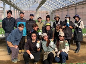 野菜苗の落合-top