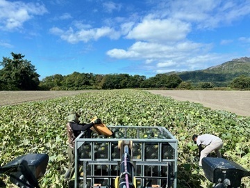 株式会社矢野農園-1