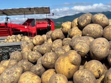 株式会社矢野農園-3