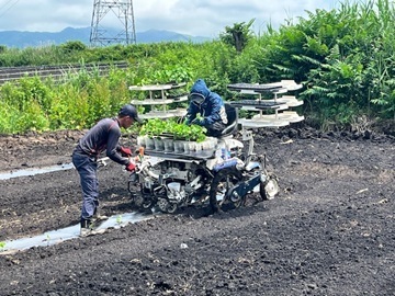 株式会社矢野農園-5