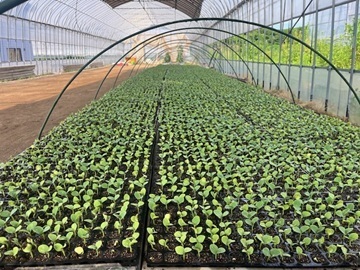 株式会社矢野農園-6