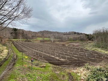 株式会社矢野農園-7