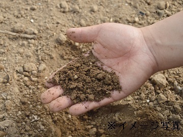 千葉県我孫子市×野菜/個人【43047】-2