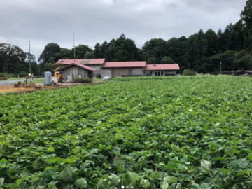 株式会社恋する豚研究所-1