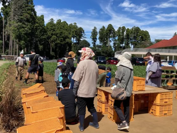 株式会社恋する豚研究所-4