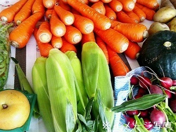 福岡県北九州市×店舗運営/法人【43051】-1