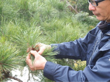 株式会社京都造園-3