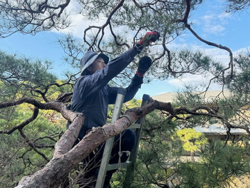 株式会社京都造園-2