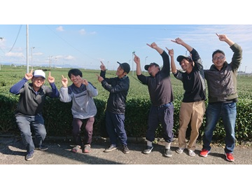 有限会社丸東製茶-top