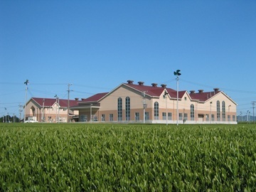 有限会社丸東製茶-2