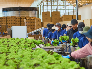 サラダボウルグループ-6